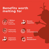 An Image with the title "Benefits worth melting for." for Melts® into Active Probiotic, followed by a list of six benefits with accompanying icons: 7 Billion Active Cultures, Boosts Appetite, Improves Immunity, Anti Inflammatory, Improves Digestion and Boosts Metabolism. In the background, a silhouette of Disney Frozen’s Olaf is present.